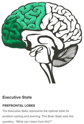 Executive State